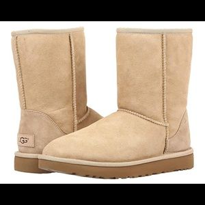 CLASSIC SHORT UGG II (Sand)